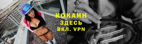МДПВ Бородино