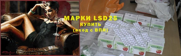ГАЛЛЮЦИНОГЕННЫЕ ГРИБЫ Бронницы