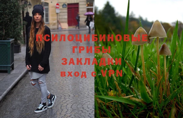 гашик Бугульма