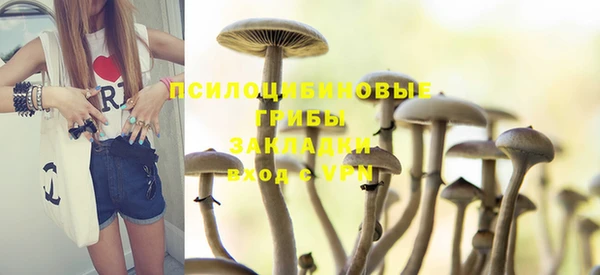 МДПВ Бородино