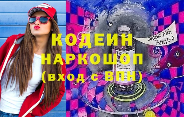 МДПВ Бородино