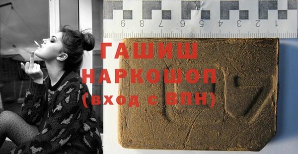 МДПВ Бородино