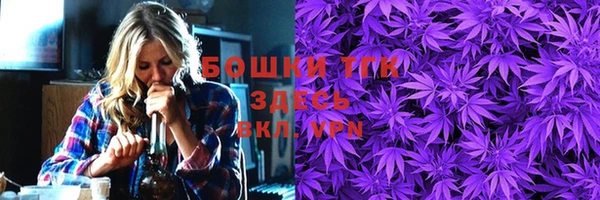 МДПВ Бородино