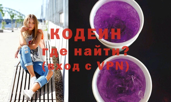 МДПВ Бородино