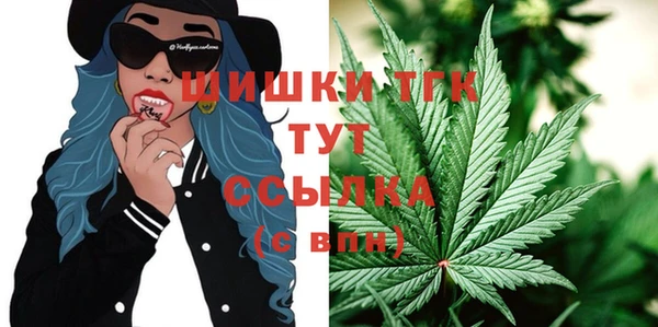 МДПВ Бородино