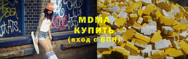 МДПВ Бородино