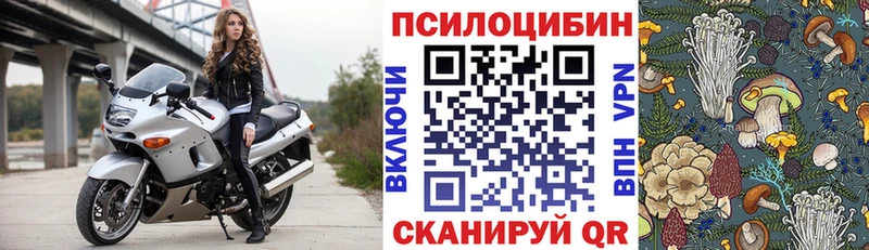 Псилоцибиновые грибы прущие грибы  Ковдор 